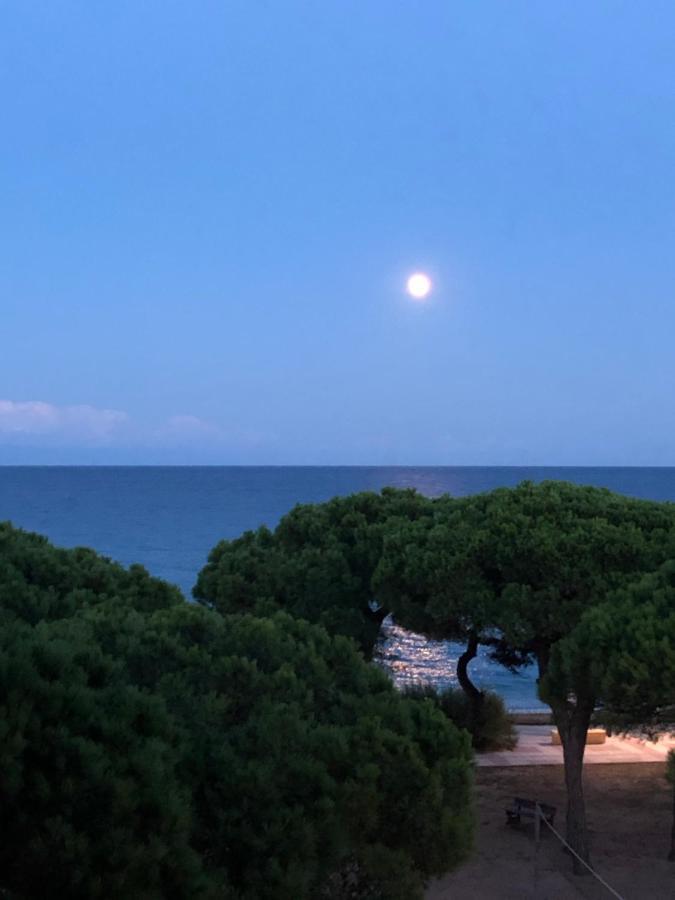 Apartment Direkt Am Strand Blanes Eksteriør billede